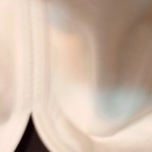 Women's Lane Bryant t-shirt bra 44 days